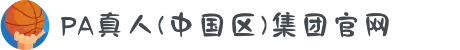 PA真人(中国区)集团官网
